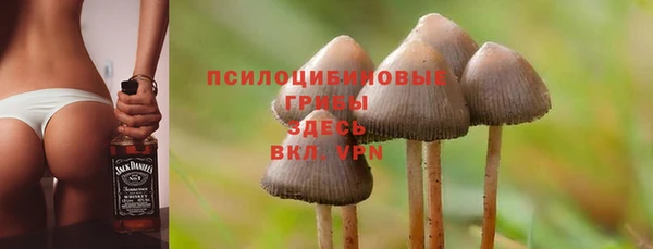 прущие крисы Белоозёрский