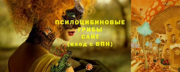 каннабис Белокуриха