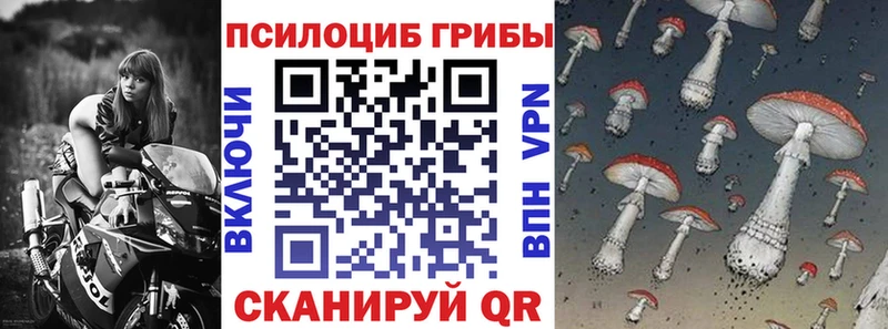mega зеркало  Жердевка  Псилоцибиновые грибы мицелий  как найти закладки 